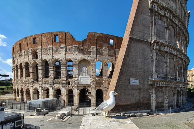 Colosseum Rome with Seagull - Spring Day